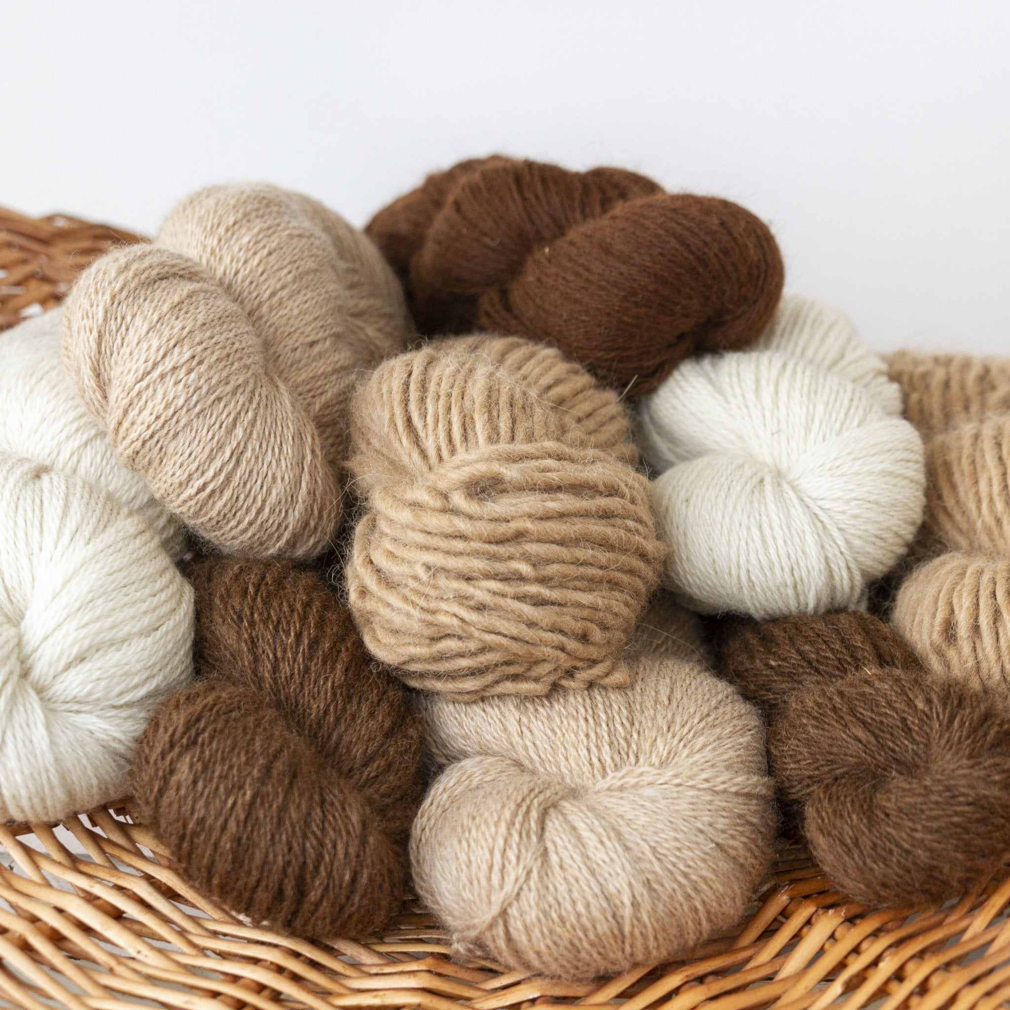 Alpaca Fiber