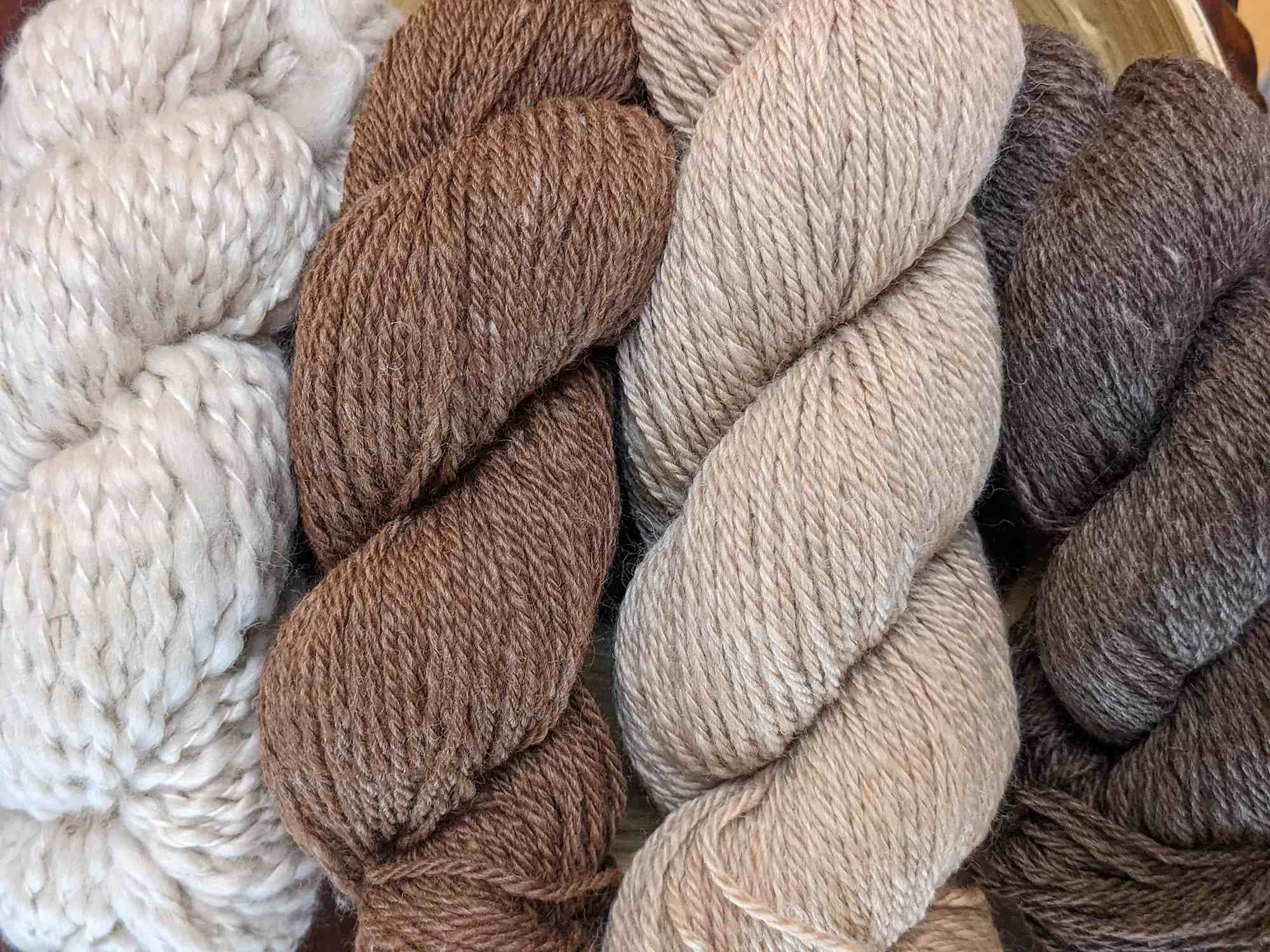 Alpaca yarn fiber for luxury sweater manufacturing