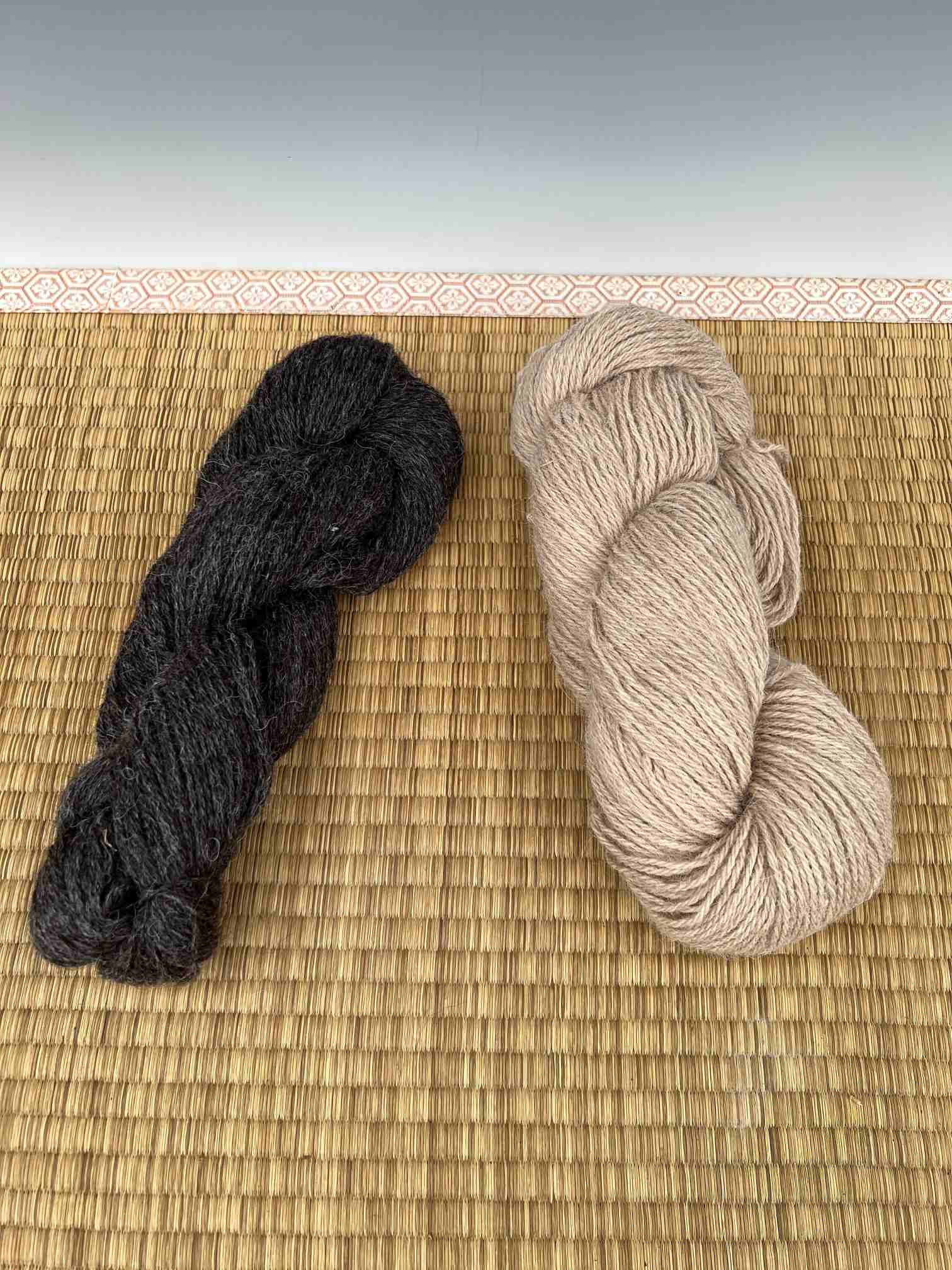 Alpaca