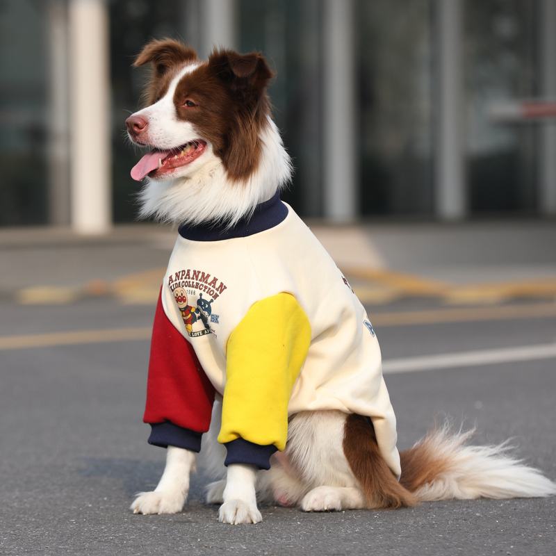 Custom pet sweater with embroidery