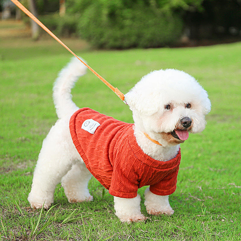 Custom knit sweater for pets