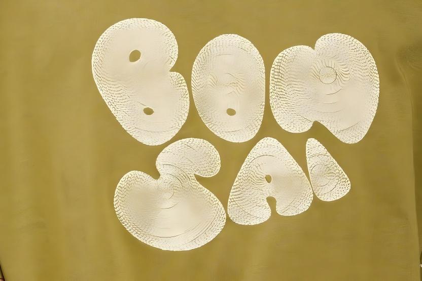 Chain-Stitch Embroidery