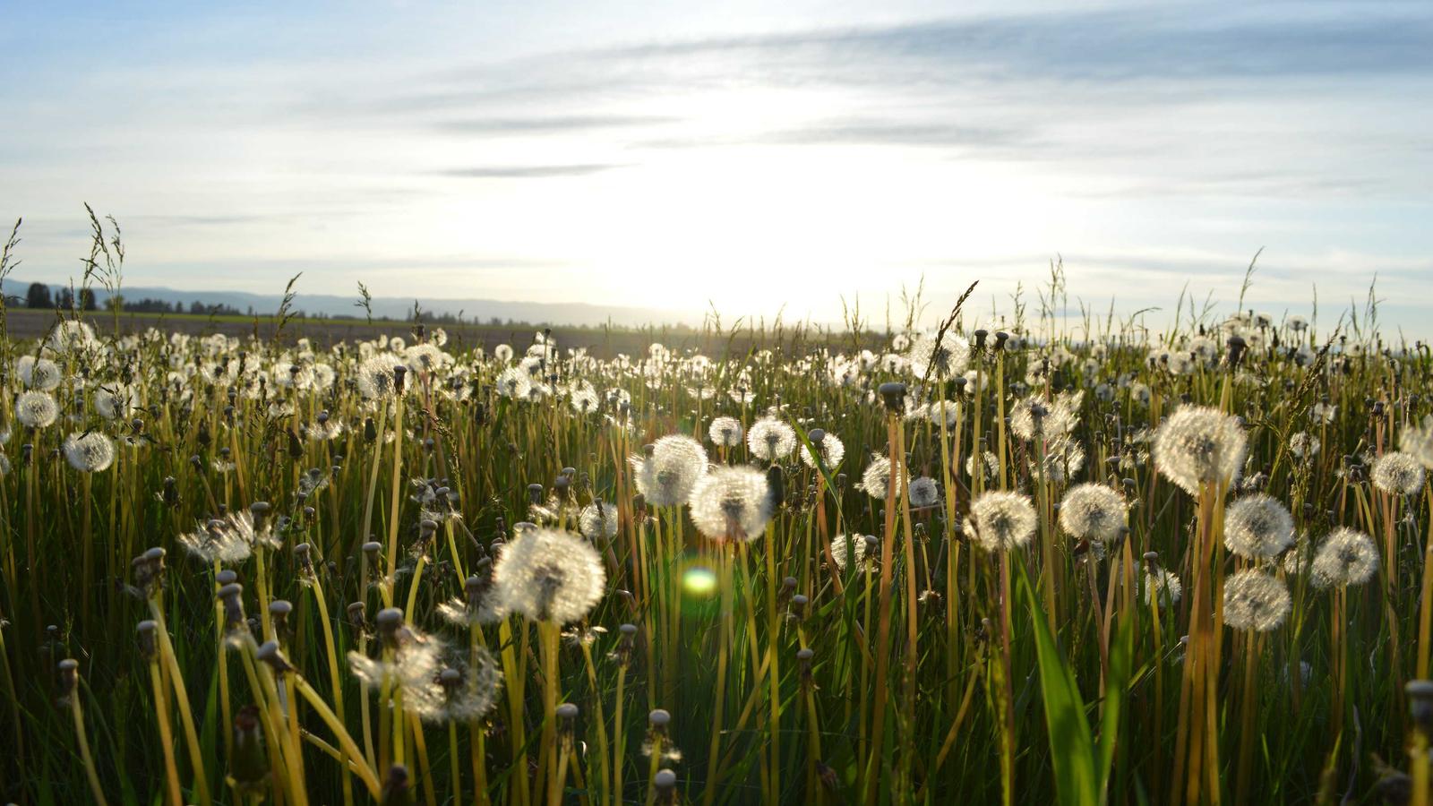User-Generated Content