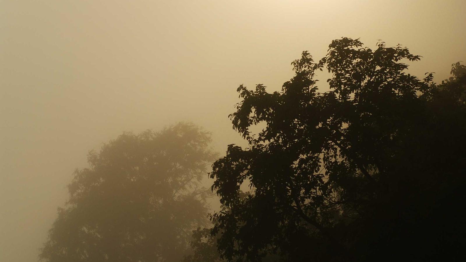 Purpose & Nature of Information