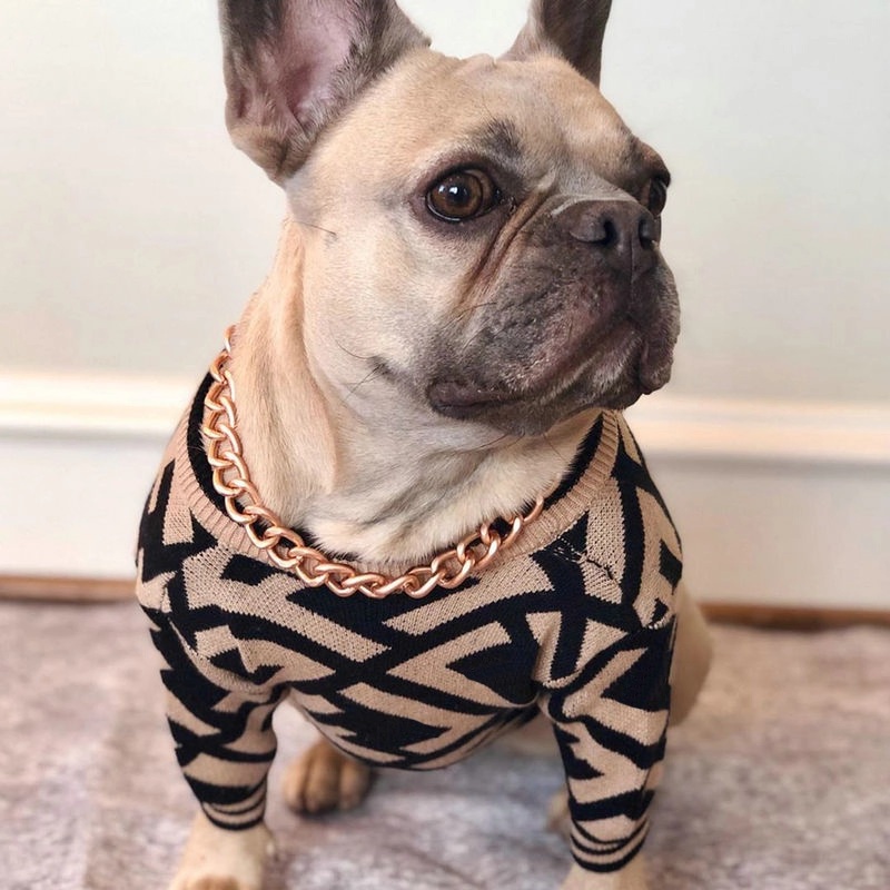 Pet ugly Christmas sweater custom